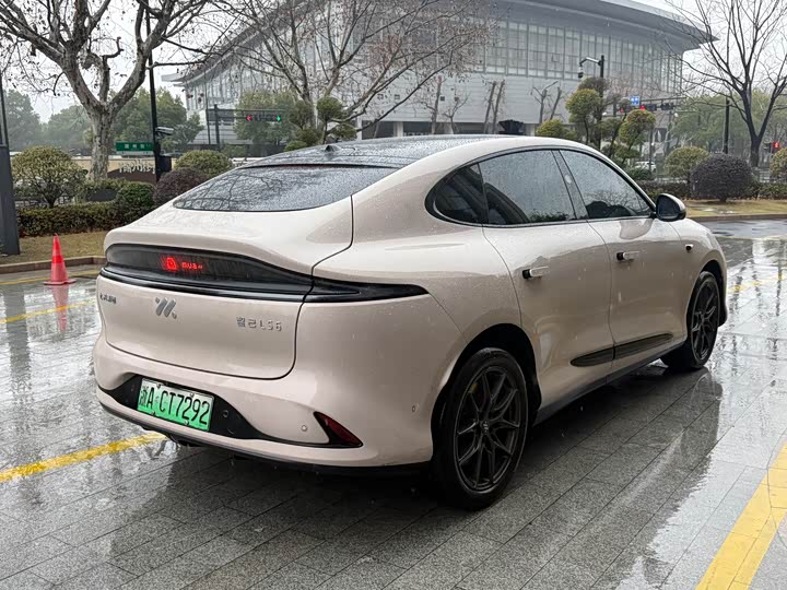 Фото 6 - IM motors LS6