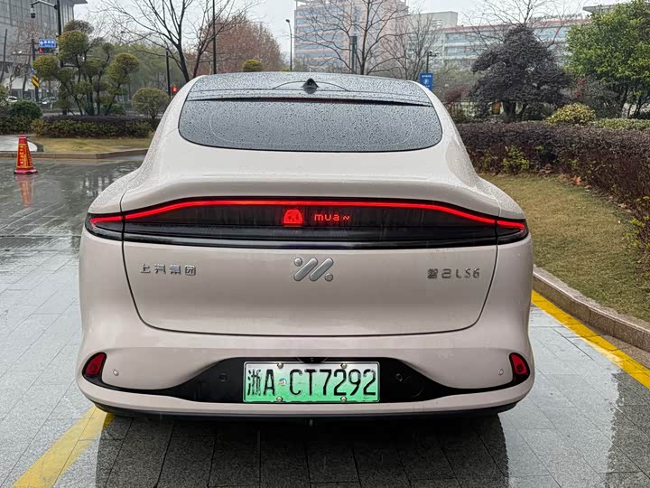 Фото 7 - IM motors LS6