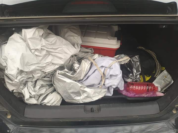 Фото 4 - Honda Civic