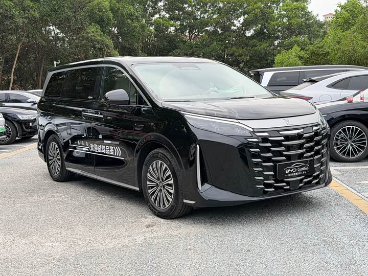 Фото 1 - BYD Xia