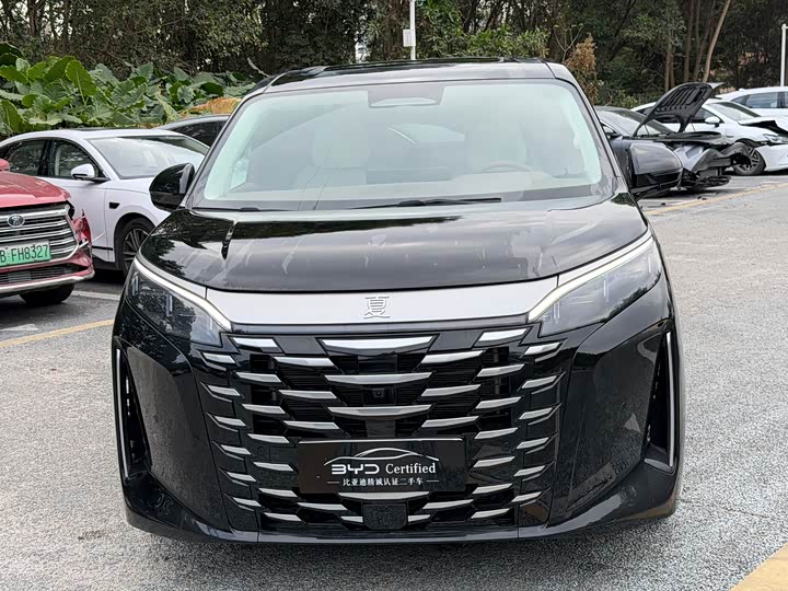 Фото 2 - BYD Xia