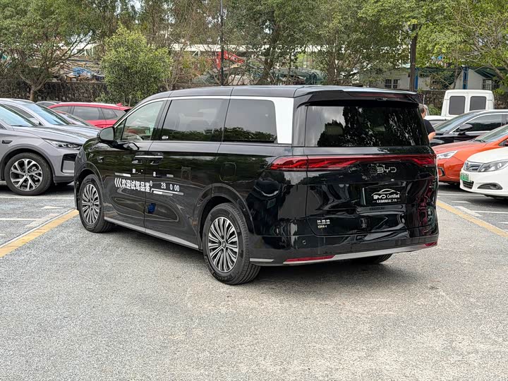 Фото 4 - BYD Xia