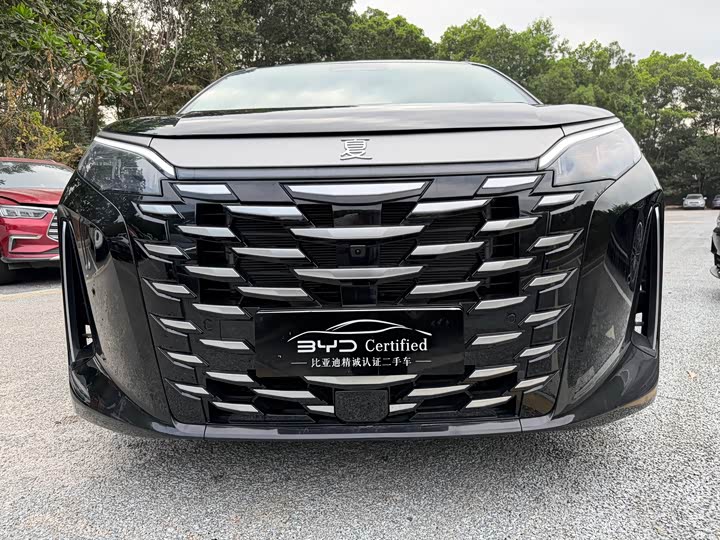 Фото 8 - BYD Xia