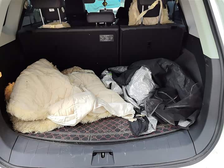 Фото 4 - Dongfeng Forthing T5