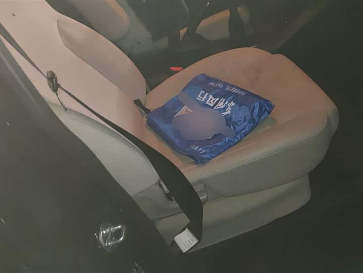 Photo 8 - Dongfeng Forthing Lingzhi M5