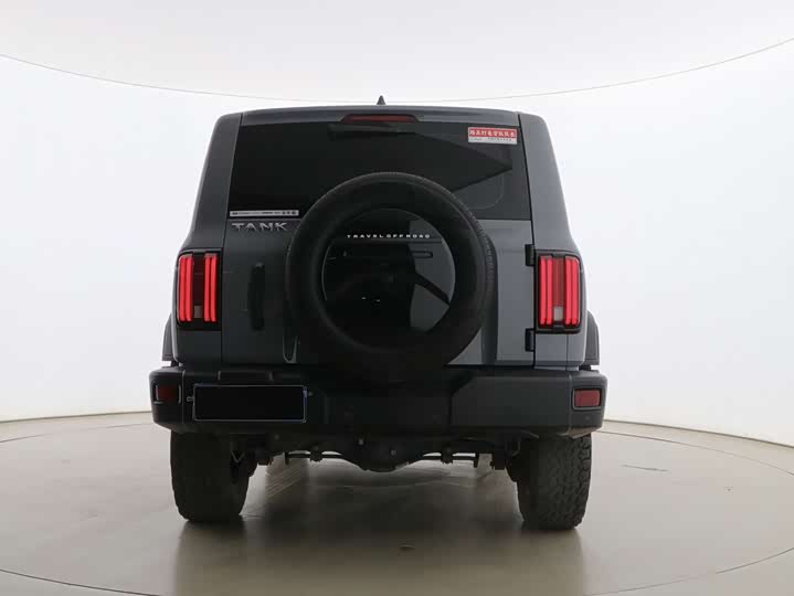 Фото 4 - Tank 300