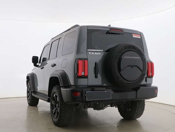 Фото 5 - Tank 300