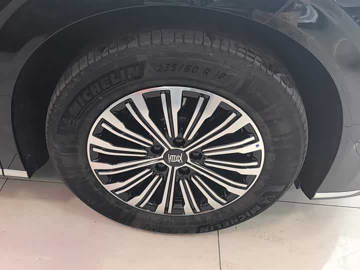 Фото 6 - BYD Xia