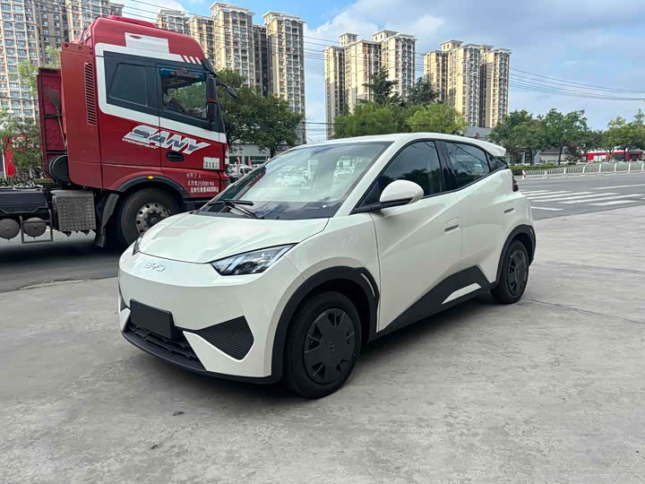 Фото 1 - BYD Seagull