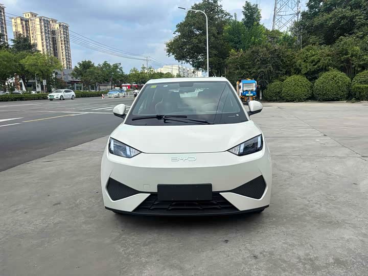 Фото 2 - BYD Seagull