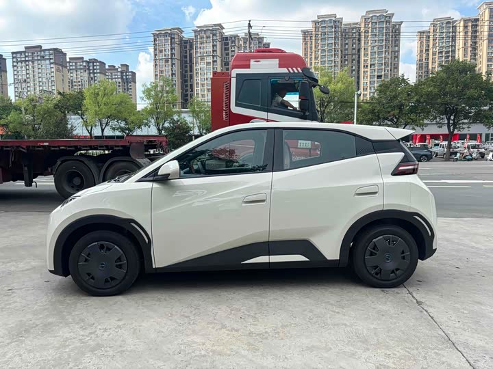 Фото 3 - BYD Seagull