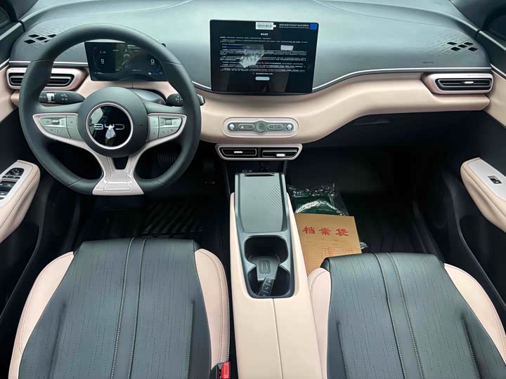 Фото 5 - BYD Seagull