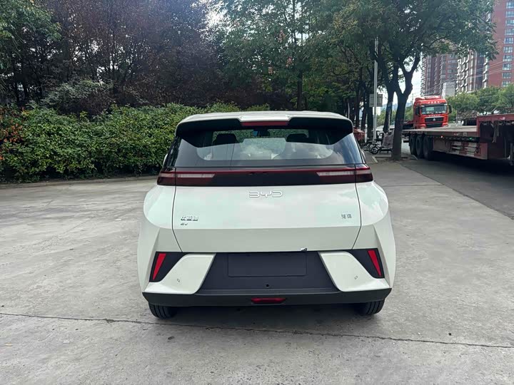 Фото 8 - BYD Seagull