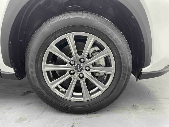 Фото 8 - Lexus NX