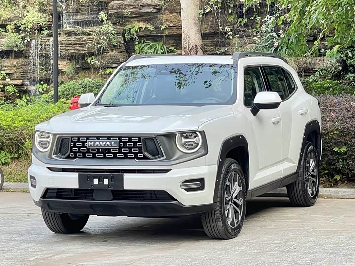 Фото 1 - Haval H-Dog