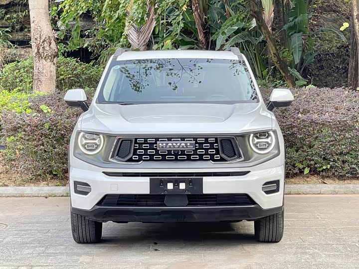 Фото 2 - Haval H-Dog