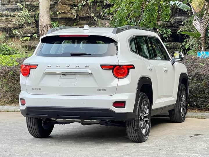 Фото 5 - Haval H-Dog