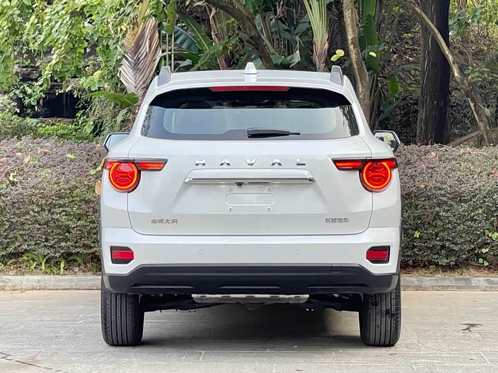 Фото 6 - Haval H-Dog