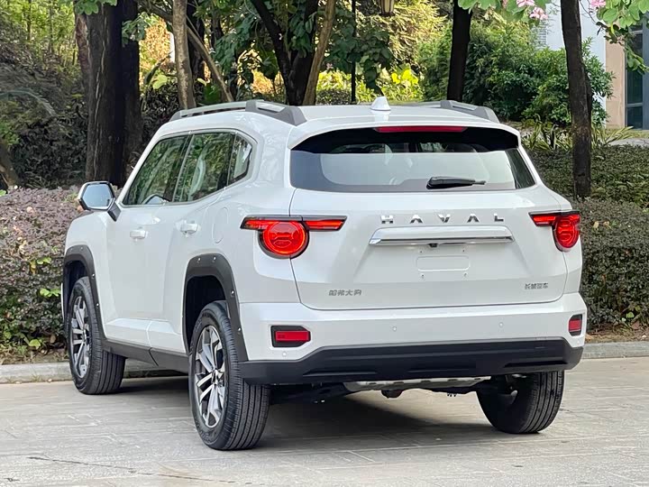 Фото 7 - Haval H-Dog