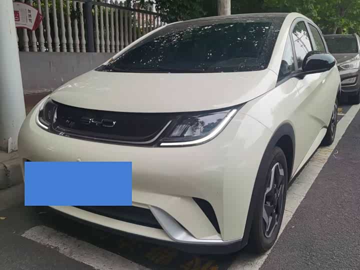 Photo 1 - BYD Dolphin