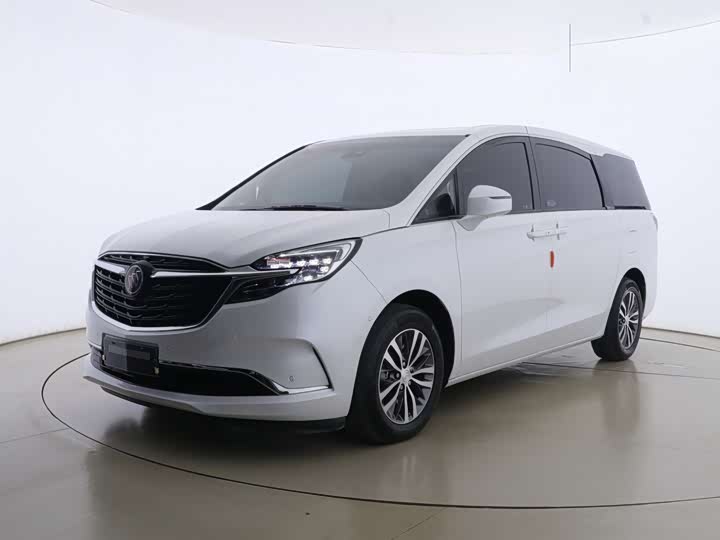 Фото 1 - Buick GL8 ES