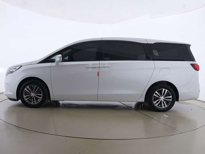 Фото 5 - Buick GL8 ES