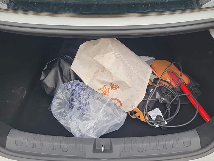 Фото 4 - BYD Qin L