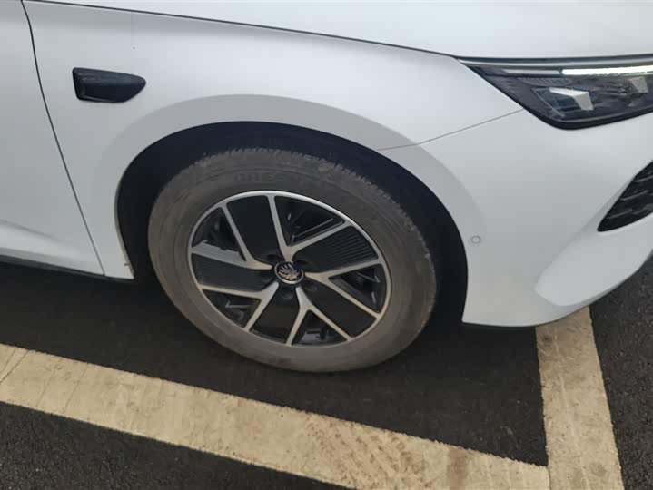 Фото 6 - BYD Qin L