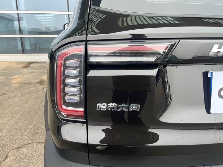 Фото 6 - Haval Dargo