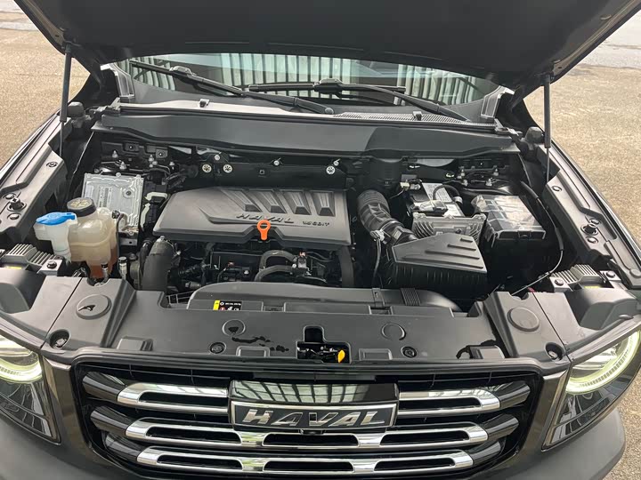 Фото 8 - Haval Dargo