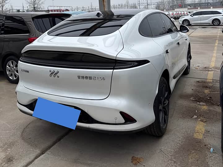 Фото 4 - IM motors LS6