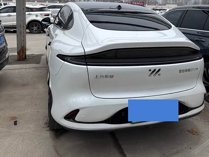 Фото 6 - IM motors LS6