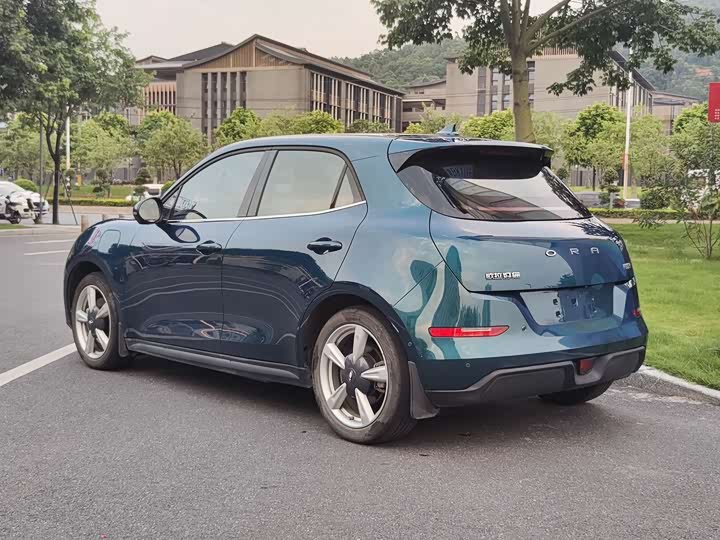 Фото 4 - Ora Good Cat (03)