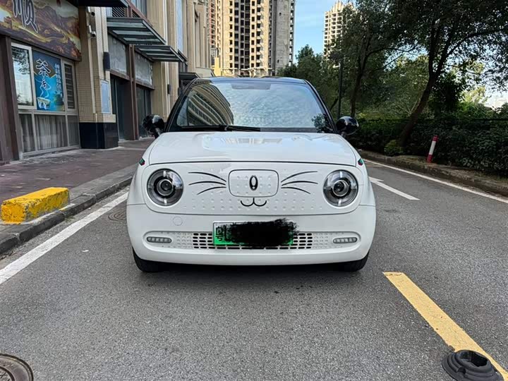 Photo 2 - Ora Black Cat