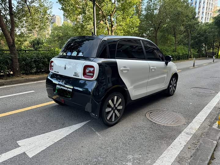 Photo 4 - Ora Black Cat