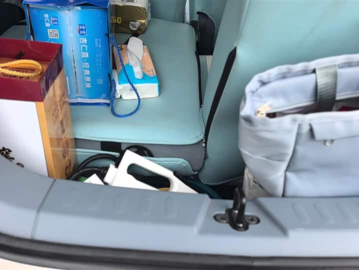 Фото 4 - Bestune Pony