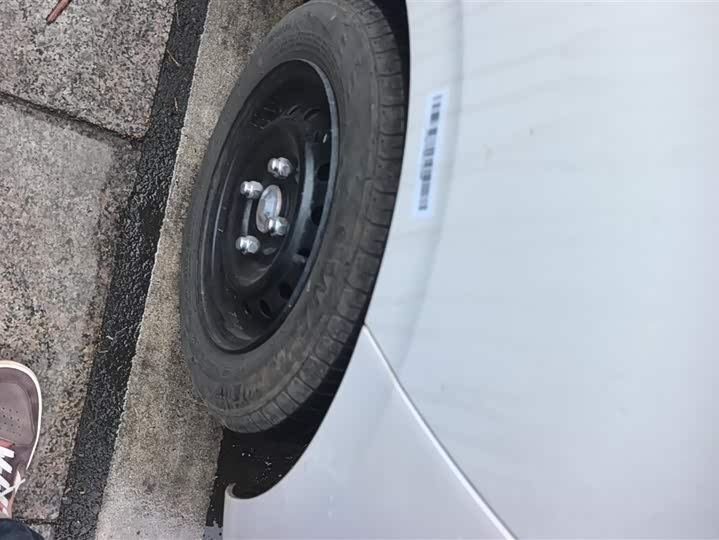 Фото 6 - Bestune Pony