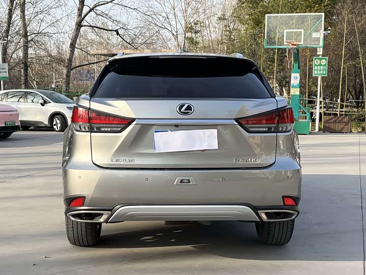 Фото 7 - Lexus RX