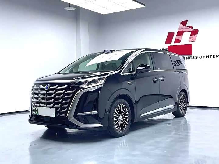 Фото 1 - Denza D9