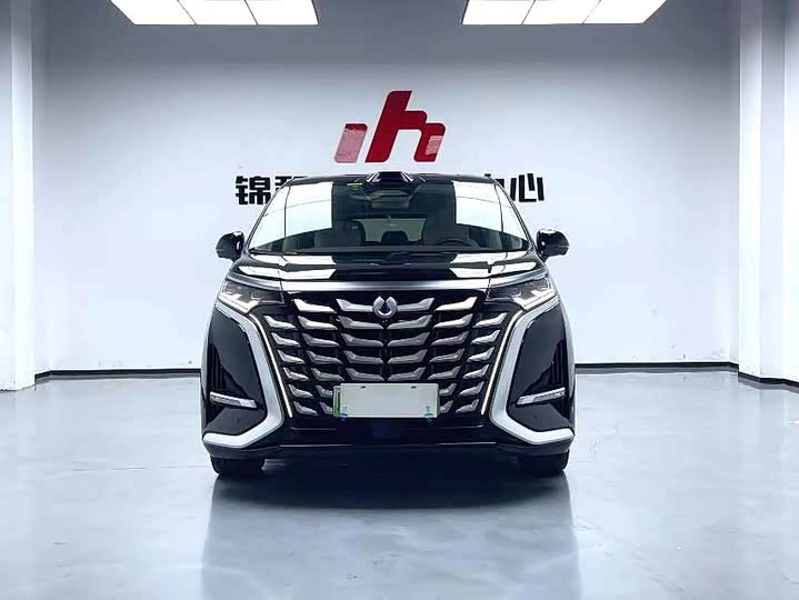 Фото 2 - Denza D9