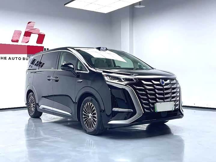 Фото 3 - Denza D9