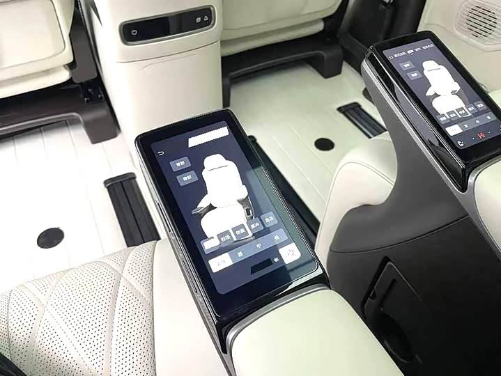 Фото 8 - Denza D9