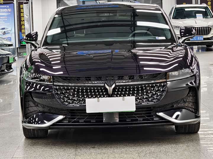 Фото 2 - Voyah Passion