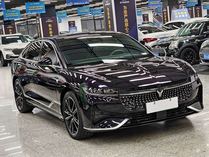 Фото 3 - Voyah Passion