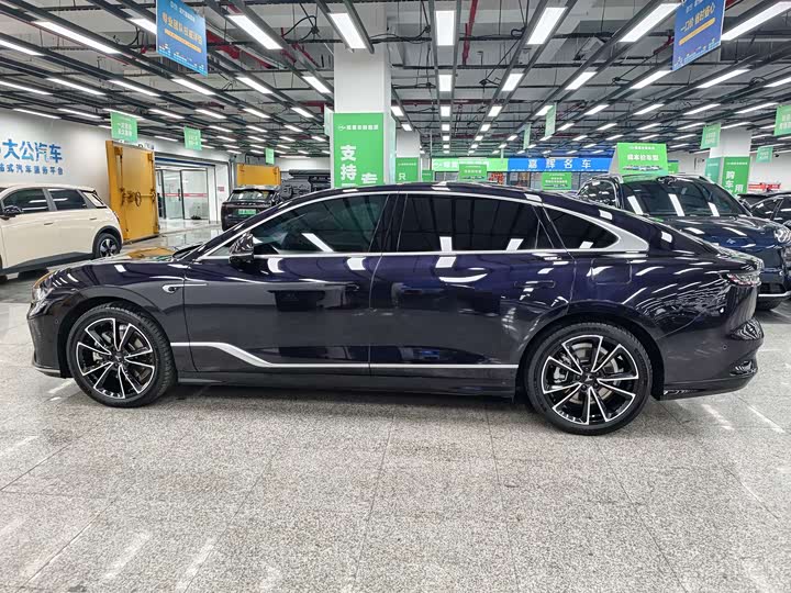 Фото 4 - Voyah Passion