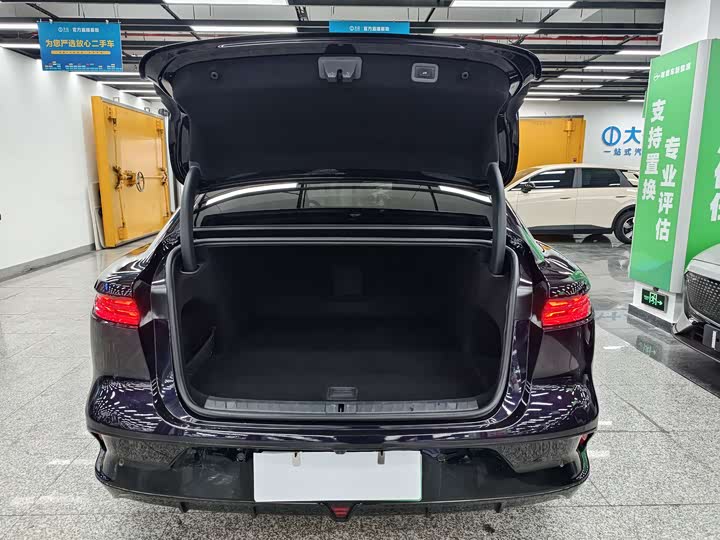 Фото 8 - Voyah Passion