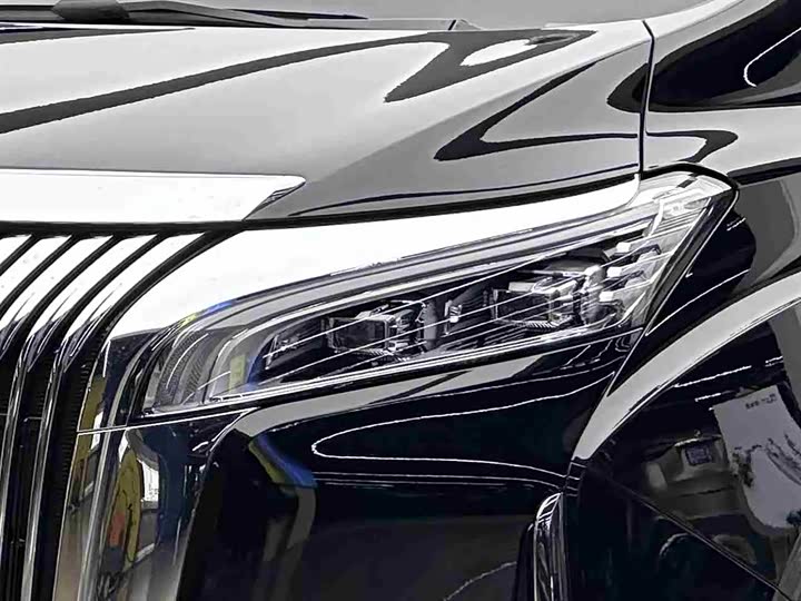 Фото 3 - Wey Gaoshan