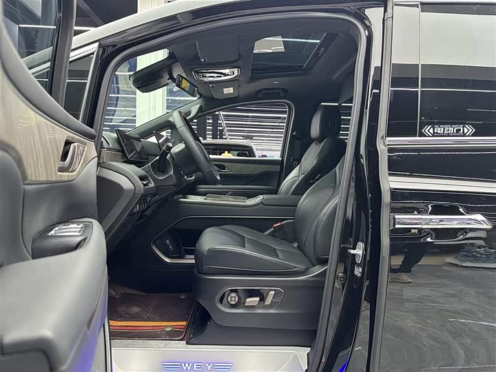 Фото 6 - Wey Gaoshan