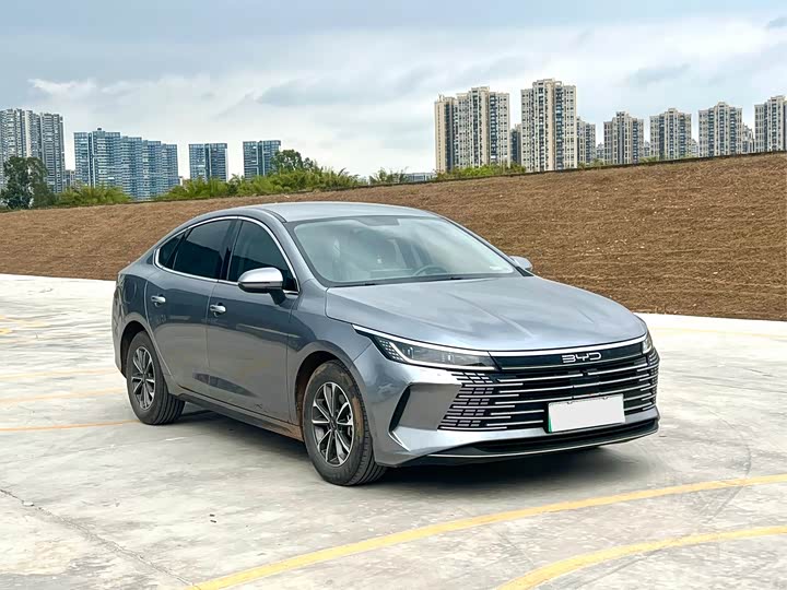 Фото 3 - BYD Destroyer 05