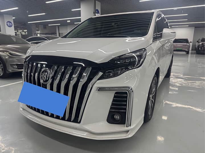 Фото 1 - Buick GL8 ES